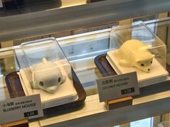 小海豚蛋糕-抱抱地球咖啡馆(国家海洋博物馆店)