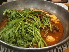 土豆脊骨锅-喇喇排骨火锅·传统韩式脊骨汤(望京西园总店)