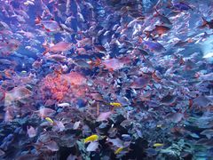 -成都浩海立方海洋公园