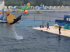 -秦皇岛乐岛海洋王国