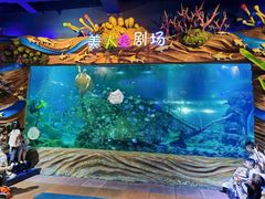 -太奥幻太奇海洋馆