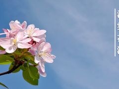 -海棠花溪(元大都城垣遗址公园)