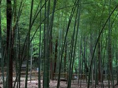 -敬亭山风景名胜区