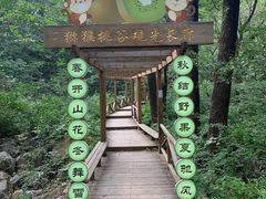 -大岭沟猕猴桃谷风景区