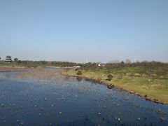 -上海海湾国家森林公园