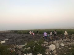 -南汇嘴观海公园