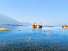 -洱海月湿地公园