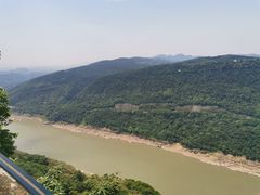 -铁山坪森林公园