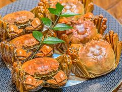 -龙悦湾酒家·八阵鱼生·渔人码头店