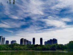 -泰丰公园