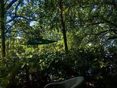 -星巴克(西湖天地店)