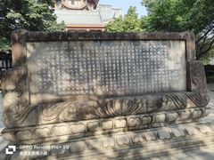 -塔子山公园