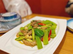 辣炒肥肠头-毛草房(南辛庄街店)
