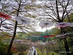 -广州市帽峰山景区