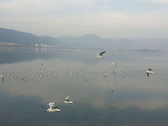 android_upload_pic-昆明洲际酒店