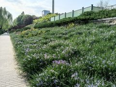 -元大都城垣遗址公园