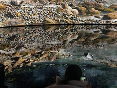 -中国湿地博物馆