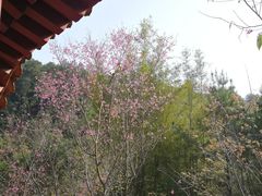 -白云山风景名胜区
