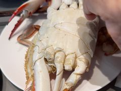 -奕景海鲜酒家· 大连海鲜(星海广场店)