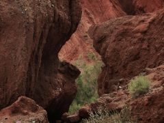 -天山神秘大峡谷