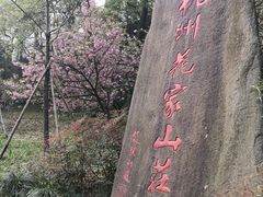 -杭州花家山庄