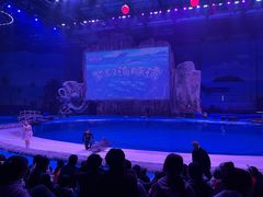 -华夏文旅海洋公园