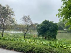 -海珠湖公园