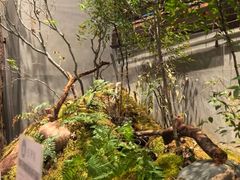 -森SPA·泰式按摩·精油Massage(宝安中心店)