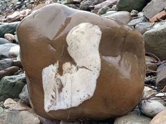 -重庆国际会议展览中心