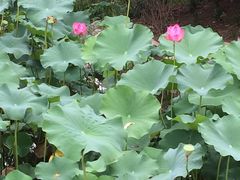 -喜虾客·大虾火锅(郑州无限城店)