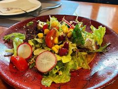 田园时蔬沙拉-布拉格餐厅· 中欧捷克菜(全国首店)