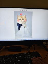 -金夫人婚纱摄影(总店)