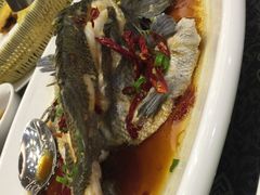 -山东八大碗山东老字号