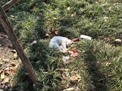 -西安大兴善寺