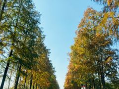 -上海怡沁园度假酒店