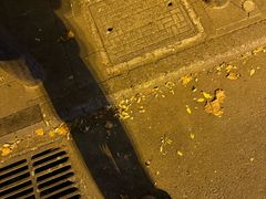 -葛记焖饼(伏牛路店)