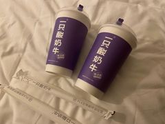 -一只酸奶牛(八一路店)