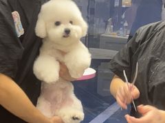 -FAELING PETS美天灵宠物(富力广场店)