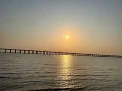 -宝安西湾红树林湿地公园