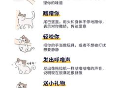 -瑞鹏宠物医院·骨外科·心肾科·肿瘤科(九亭店)