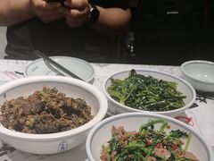 -壹盏灯(惠农店)