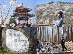 -白水寺森林公园
