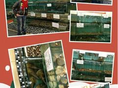android_upload_pic-海岛渔村大酒店(云霄路店)