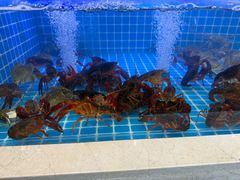 -七欣天香辣蟹火锅(苏州相城VIP总店)