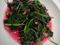 -许家菜(DT51店)