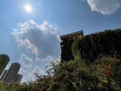 -府河摄影公园