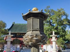 -天津大悲禅院