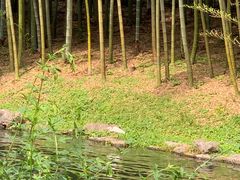 -杭州植物园