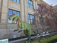 -国家自然博物馆