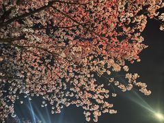 -江南大学(蠡湖校区)